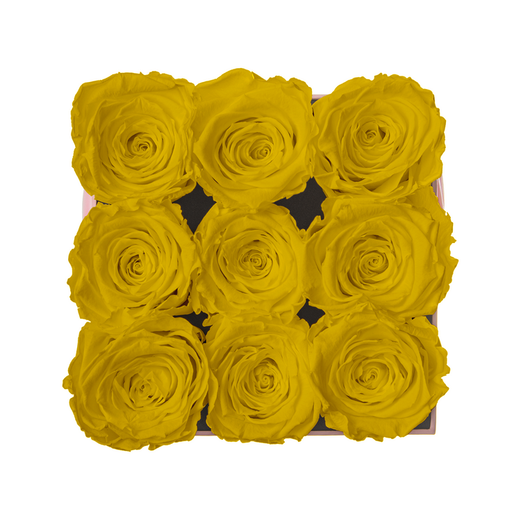 Nine yellow roses arranged in a square pattern inside a box on a white background
