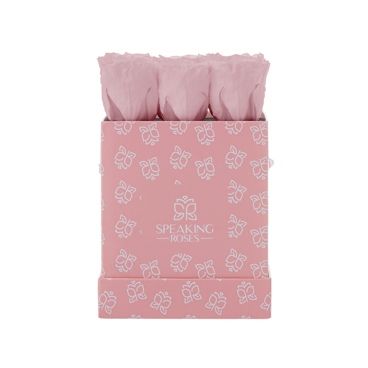 Pink box of roses with 'Speaking Roses' branding on a white background