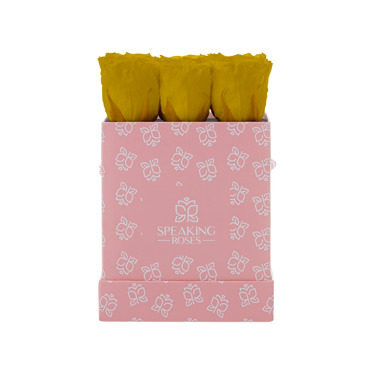 Pink box with yellow roses and 'Speaking Roses' branding on a white background