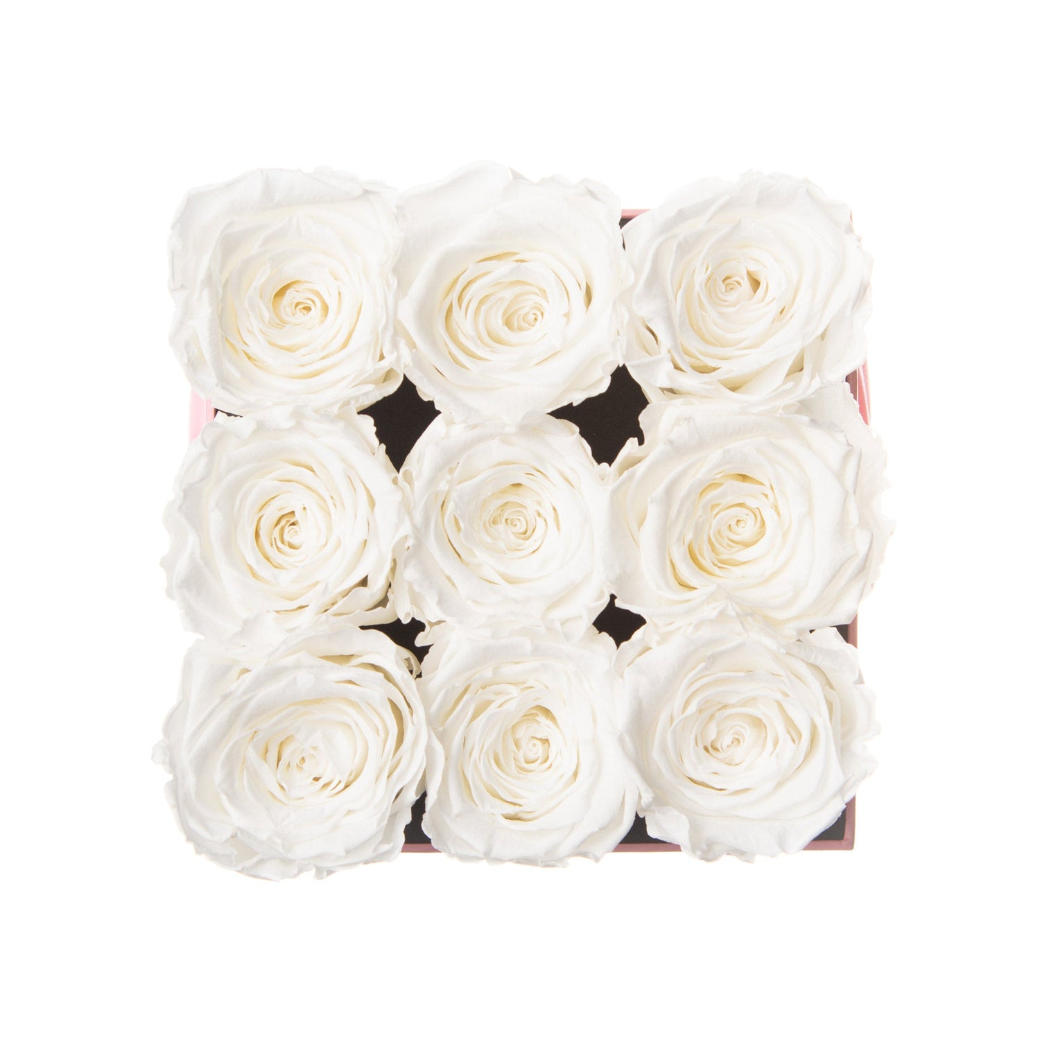 White roses arranged in a square pattern inside a box on a white background