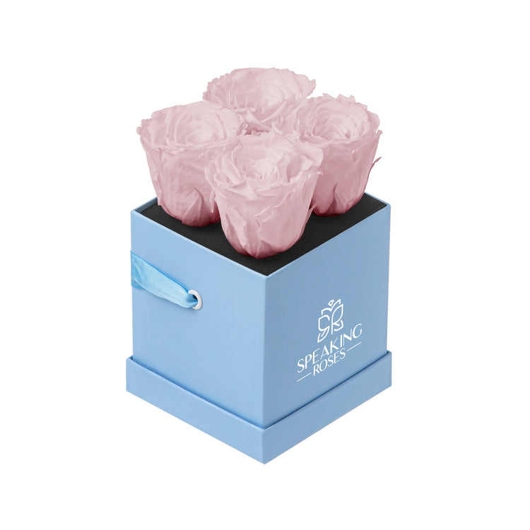 Pink roses in a blue box with 'Speaking Roses' branding on a white background