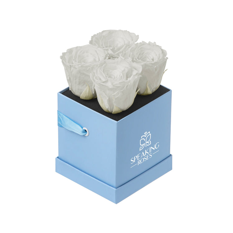 Four white roses in a light blue box with 'Speaking Roses' branding on a white background