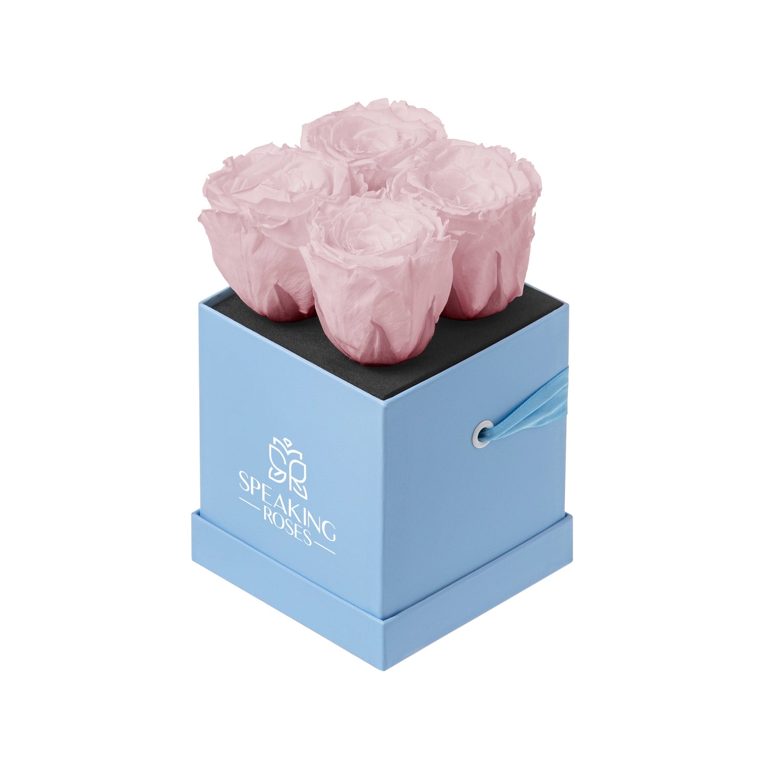 Three pink roses in a blue box with 'Speaking Roses' logo on a white background