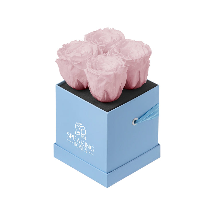Three pink roses in a blue box with 'Speaking Roses' logo on a white background