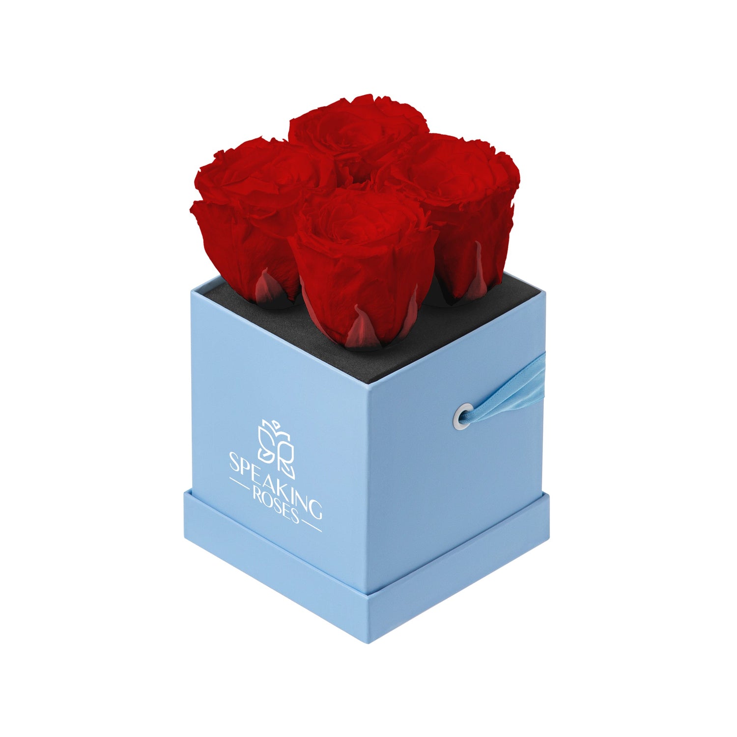 Box of red roses with 'Speaking Roses' branding on a white background
