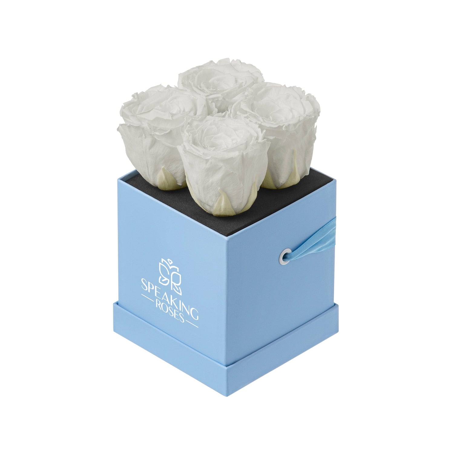 Four white roses in a blue box with 'Speaking Roses' branding on a white background