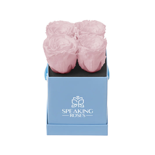 Three pink roses in a blue box with 'Speaking Roses' logo on a white background
