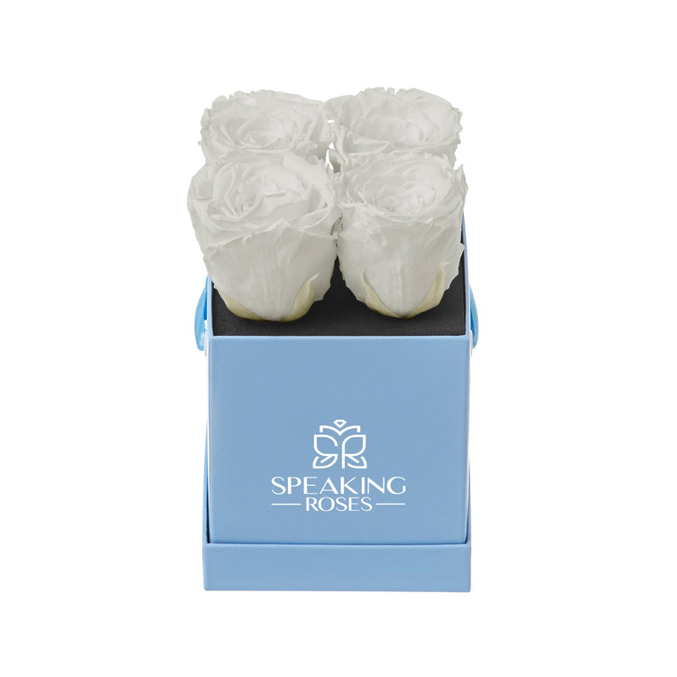 Three white roses in a blue box with 'Speaking Roses' logo on a white background
