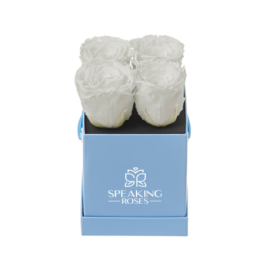 Three white roses in a blue box with 'Speaking Roses' logo on a white background