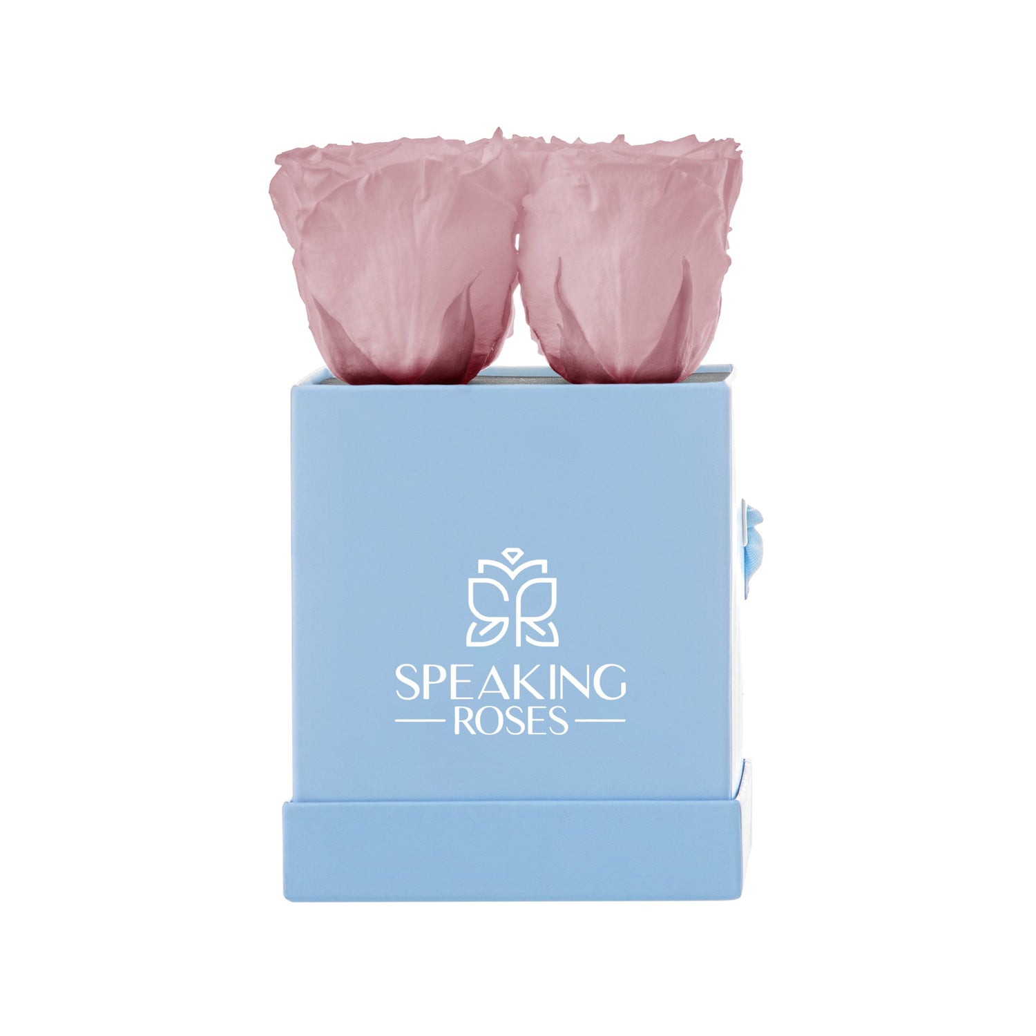 Pink roses in a blue box with 'Speaking Roses' logo on a white background