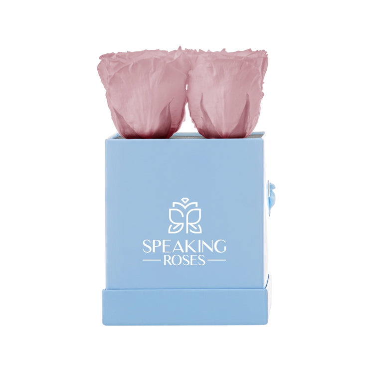 Pink roses in a blue box with 'Speaking Roses' logo on a white background