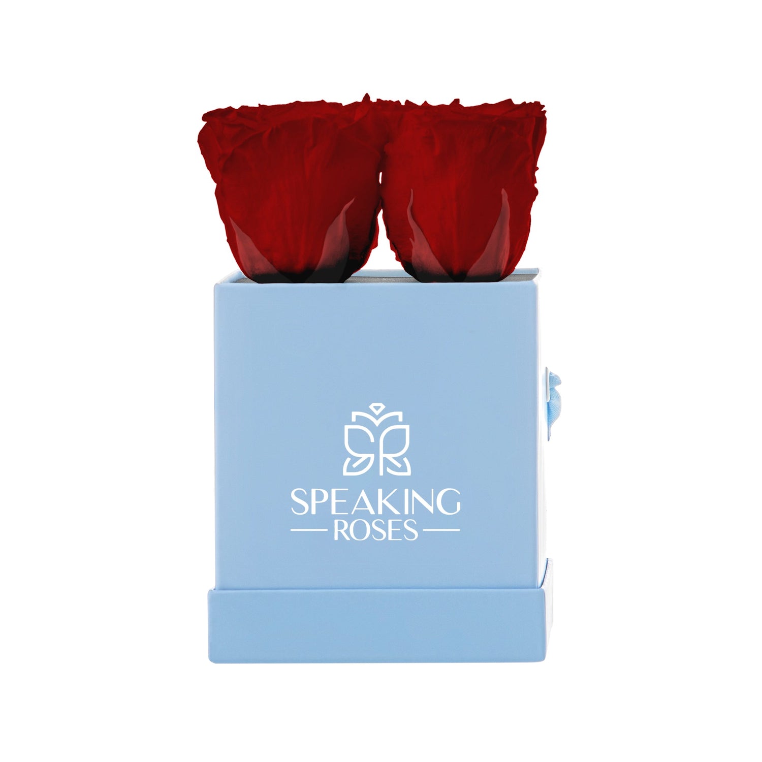 Two red roses in a blue box with 'Speaking Roses' logo on a white background