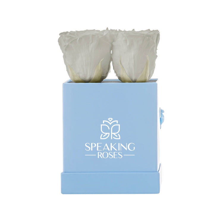 Two white roses in a blue box with 'Speaking Roses' logo on a white background