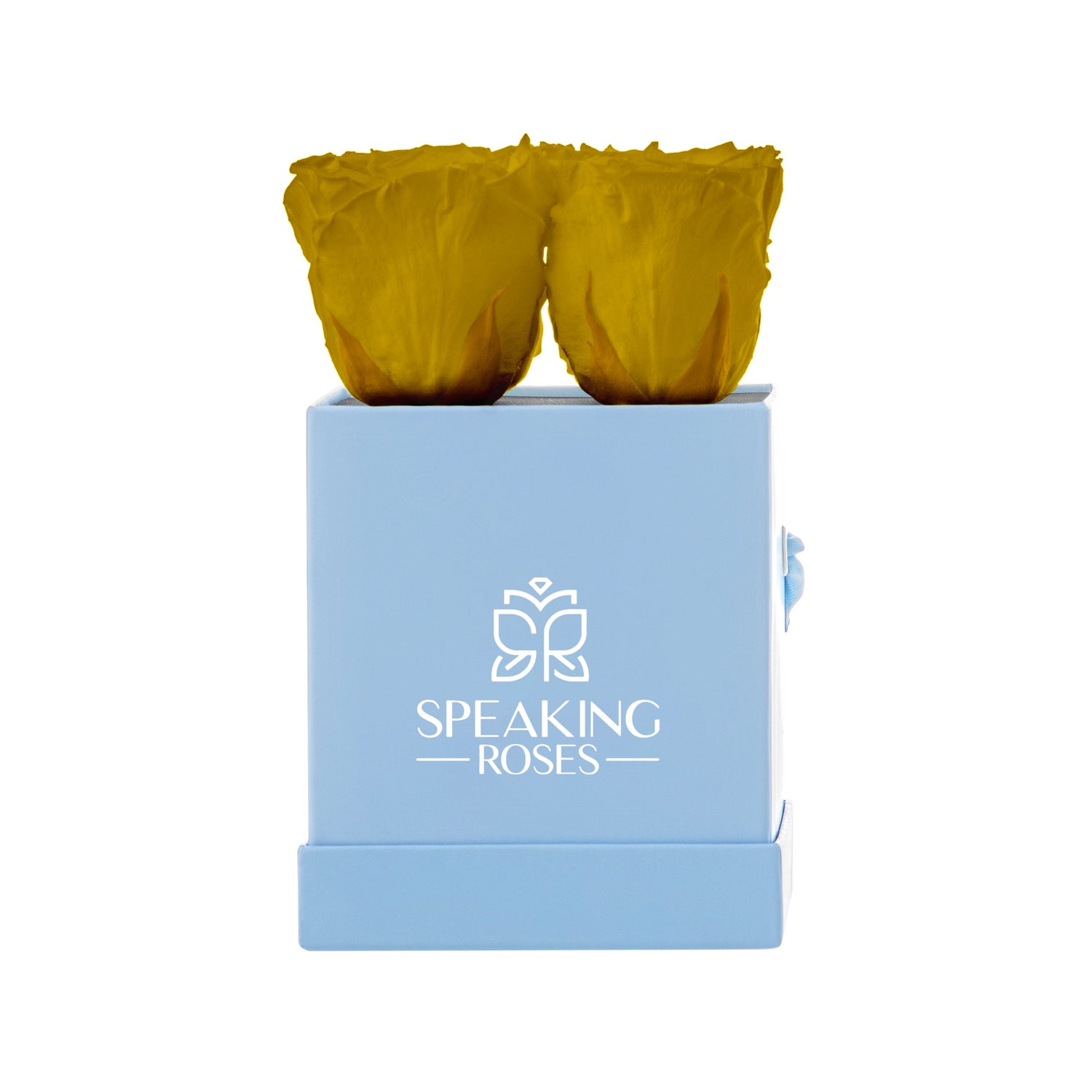 Two yellow rose covers in a blue box with 'Speaking Roses' logo on a white background