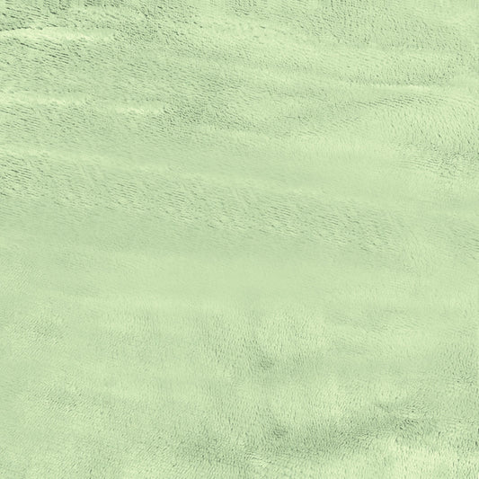 Ultra-Soft Velvet Plush Reversible Sherpa Fleece Blanket - Sage Green (King / California King)