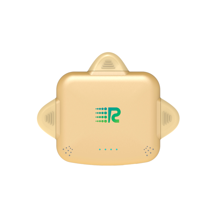 RC Universe 3 in 1 Charger (Metallic Gold)