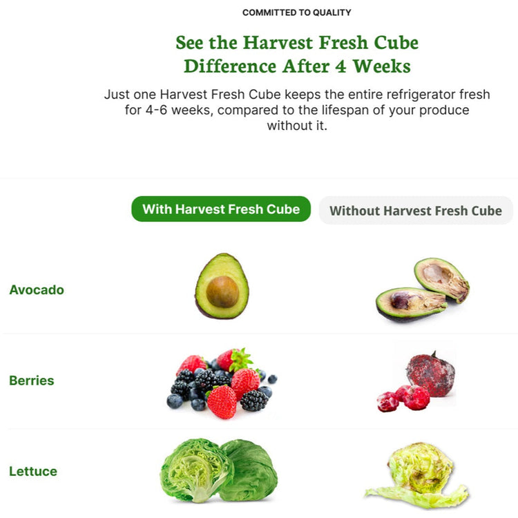 Harvest Fresh Cube - 2 Pack (6 months supply)