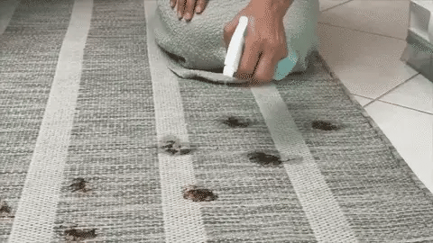 Cleaning tool with attachments on a white background