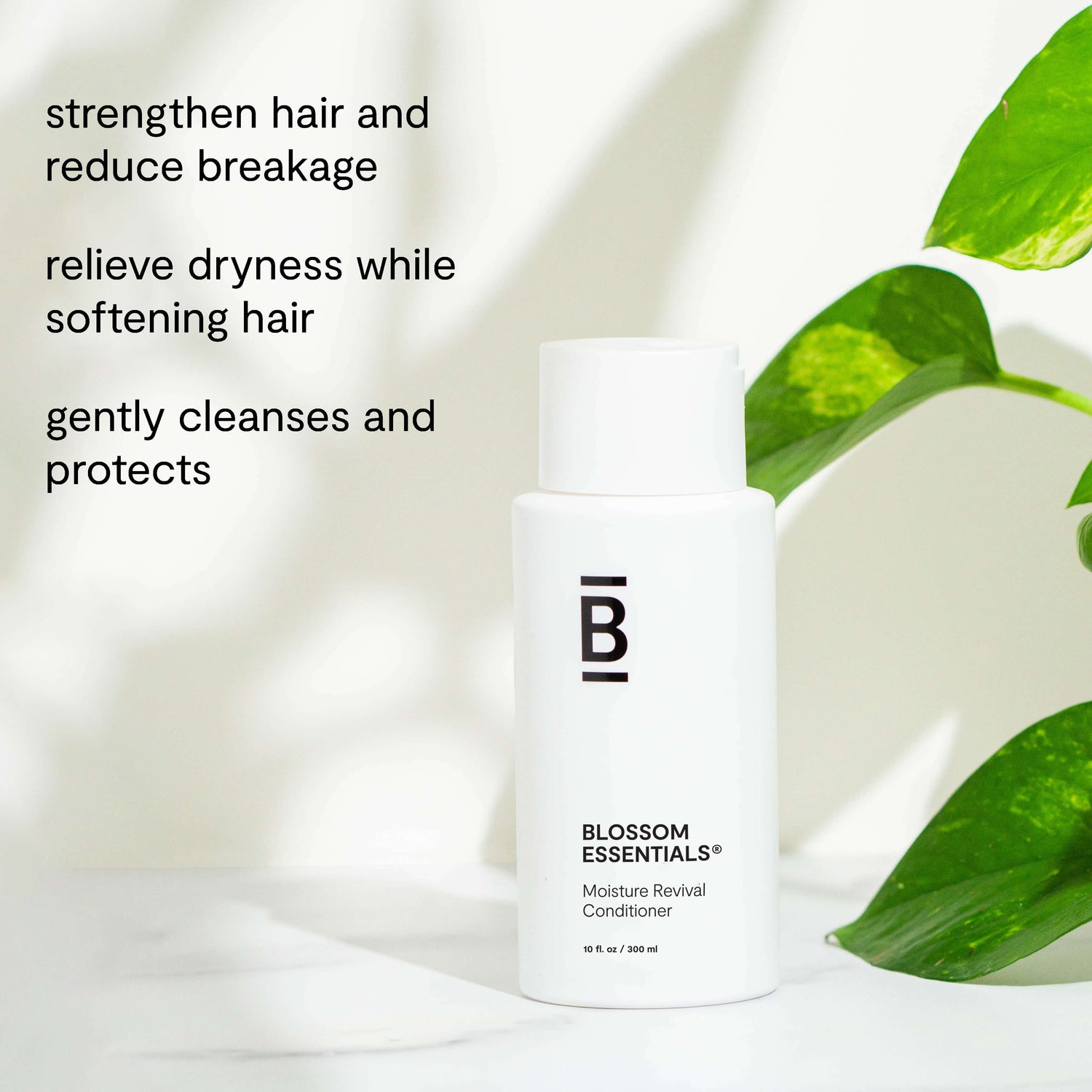 Moisture Revival Conditioner benefits for dry hair