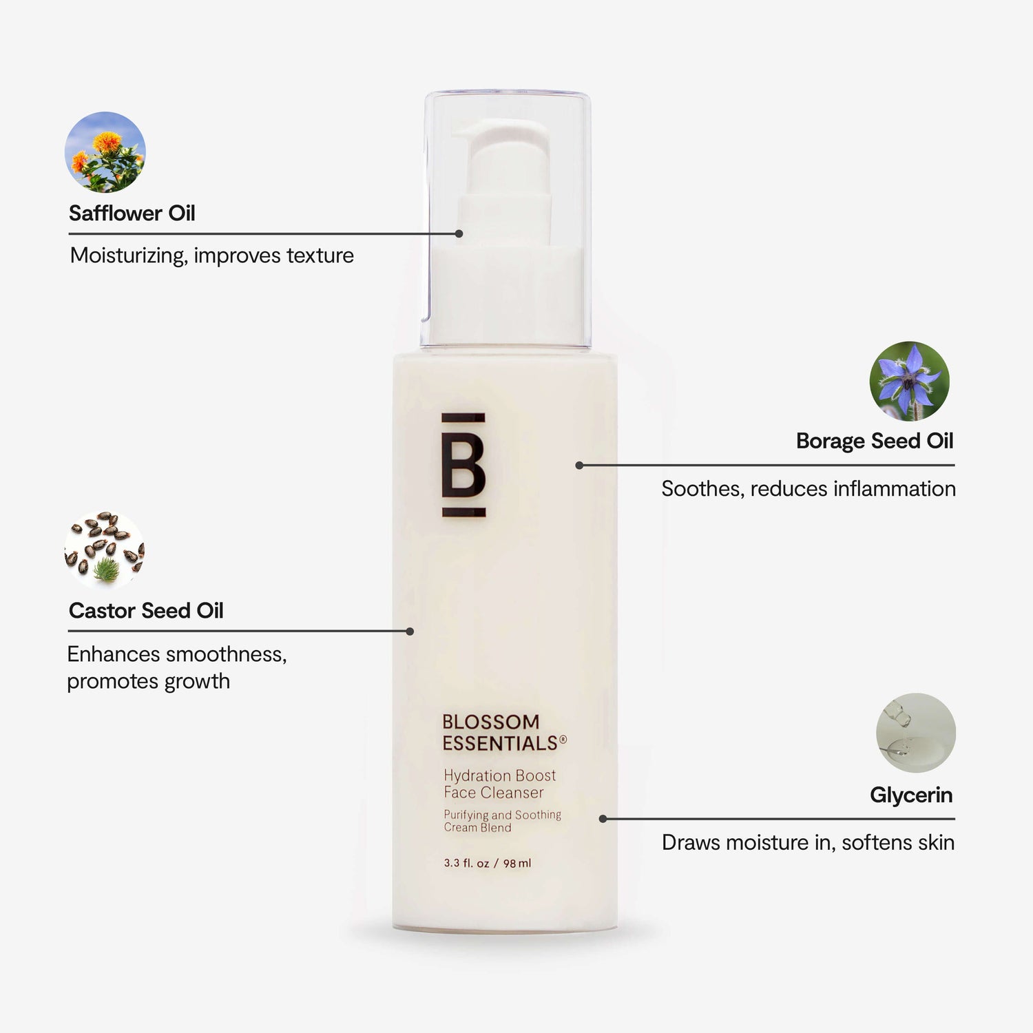 Hydration Boost Face Cleanser Ingredient highlights