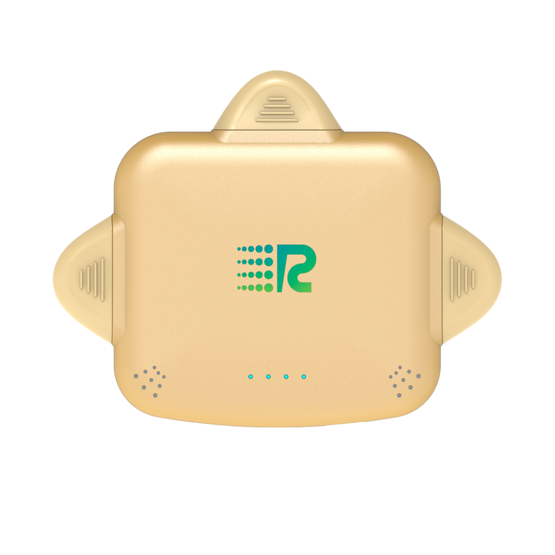 Metallic Gold