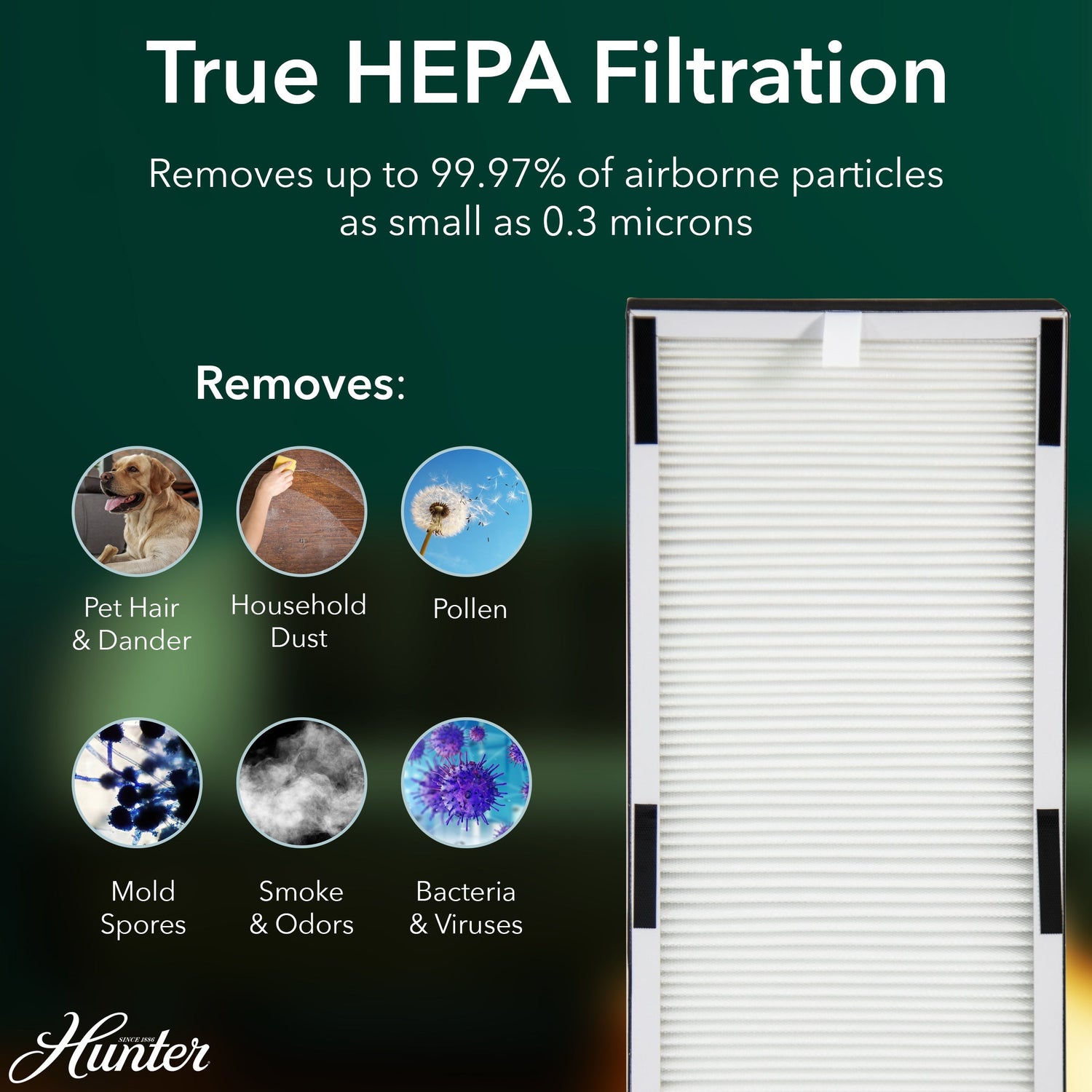 Hunter air filter with True HEPA filtration features on a dark green background