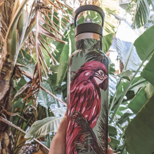 Macaw | 25oz. Insulated Water Bottle - My Bougie Bottle