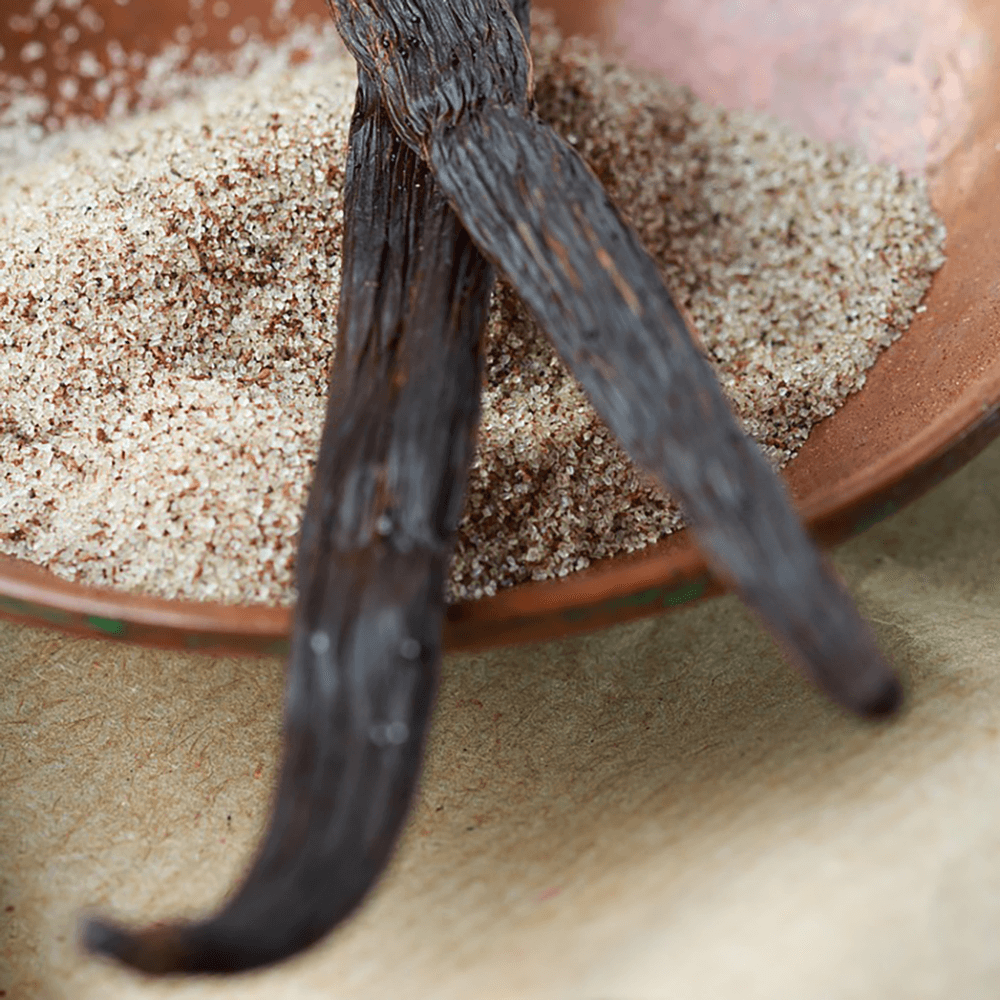 Two vanilla beans on a bed of sand with a terracotta pot in the background.