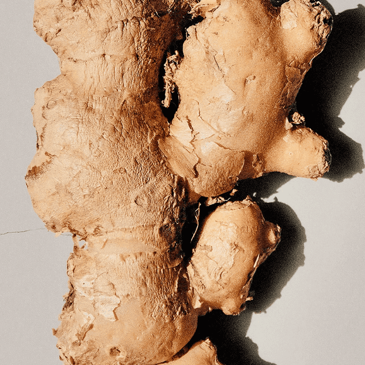 Close-up of a piece of ginger root on a light background
