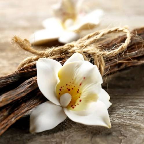 White orchid flower with a yellow center on a rustic background