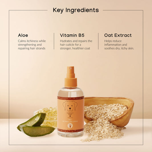 Leave-In Detangler - Sweet Honey Almond - 8oz