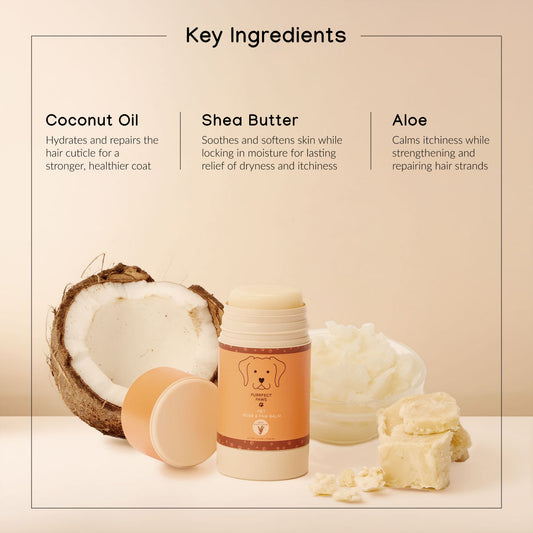 Paw Balm Sweet Honey Almond - 2.6oz