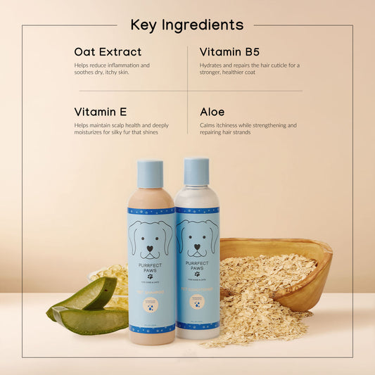 Shampoo and Conditioner Set - Raindrops and Violets - 8oz