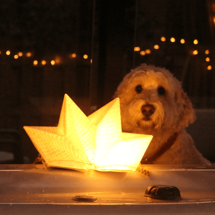 QWNN crown-shaped lantern in outdoor scene with dog in background