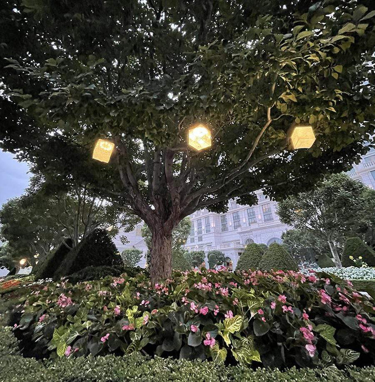 SolarPuff lanterns hanging in tree for ambient outdoor lighting