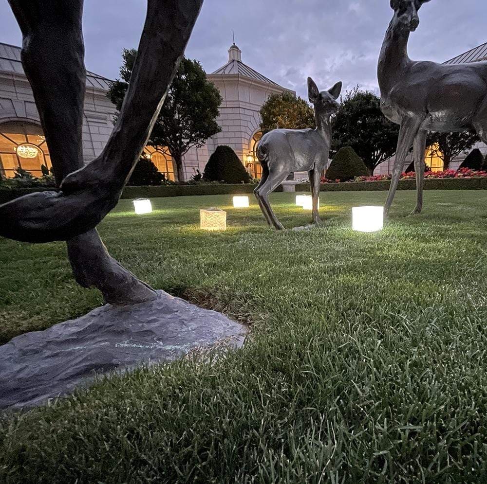 SolarPuff hybrid lanterns used for backyard and garden lighting