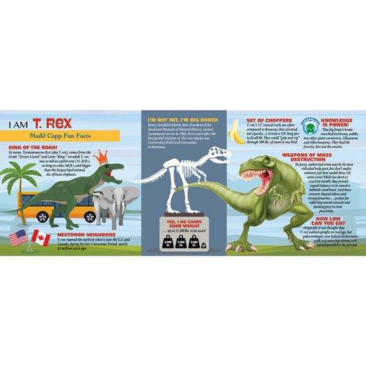 DINOSAUR BUNDLE: I AM T. REX 100 & I AM STEGOSAURUS 100