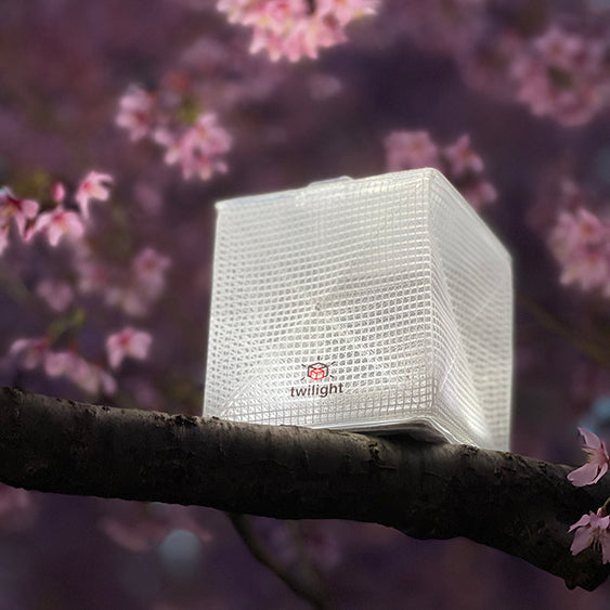 Mini solar lantern with bright white light illuminates tree.