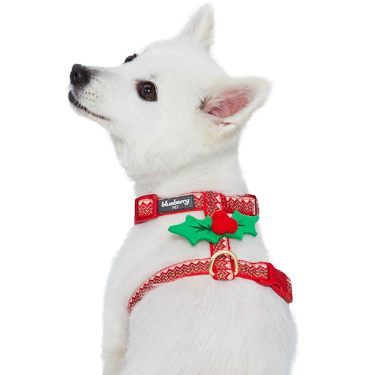 Blueberry Pet Moments of Peace Happy Reindeer Designer Dog Collar