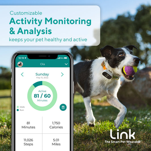 The Link Smart Pet Wearable