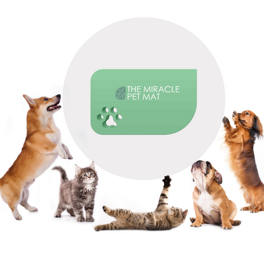 The Miracle Pet Mat - Medium - Pearl White 30" x 20"