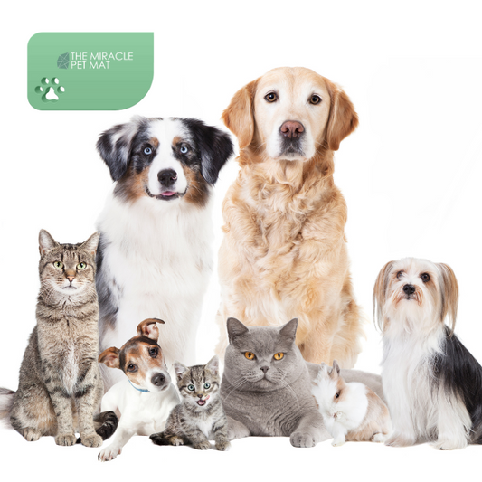 The Miracle Pet Mat - Small - Pearl White  24" x 18"