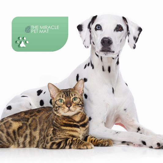 The Miracle Pet Mat - X-Small - Pearl White 20" x 13"
