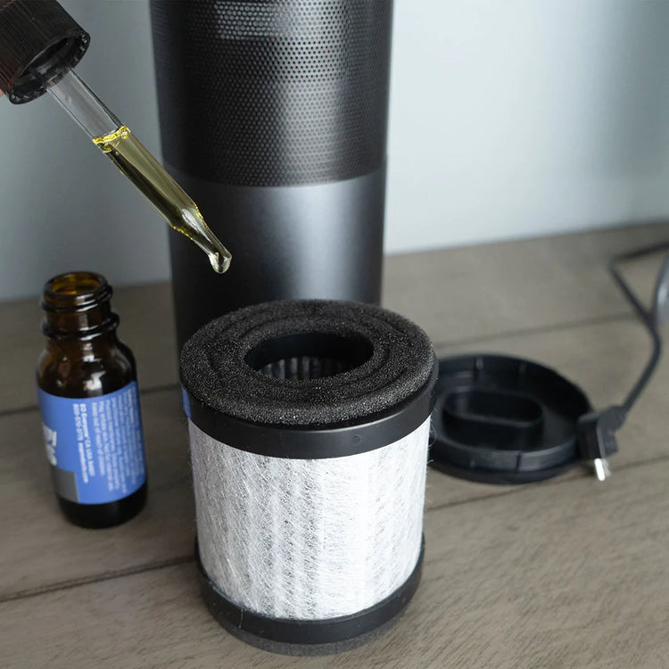 Buy 1 Get 1 - CleanLight Air Original - The World’s Most Portable Air Cleaner