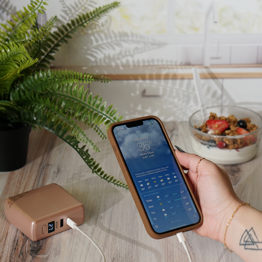 SPECIAL OFFER 3-In-1 Wall Charger and 10,000mAh Portable Power Bank with Digital Display - Blush Rose